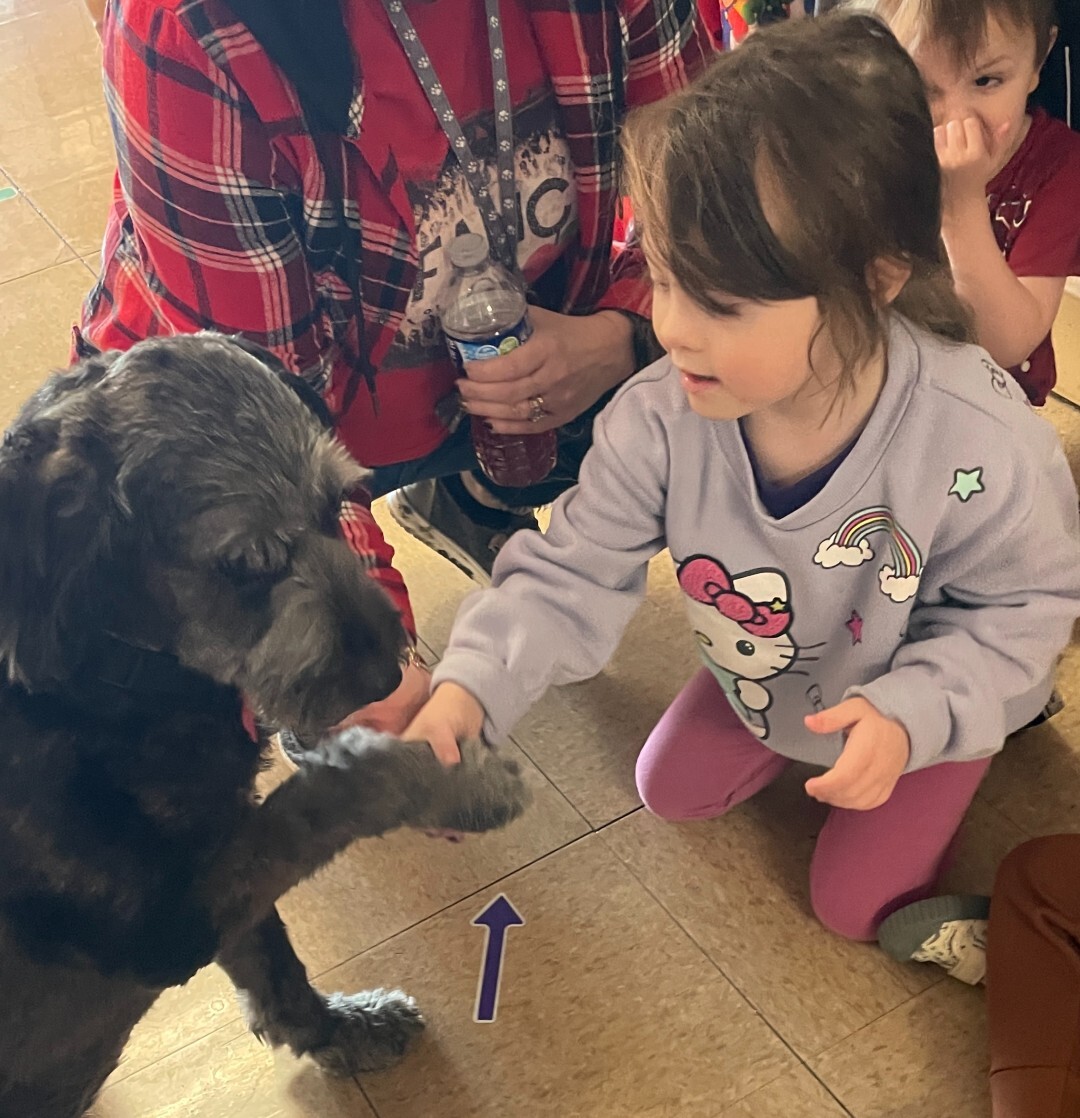 Preschool child shaking a dog's paw.